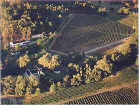 Wine estate 
- from top